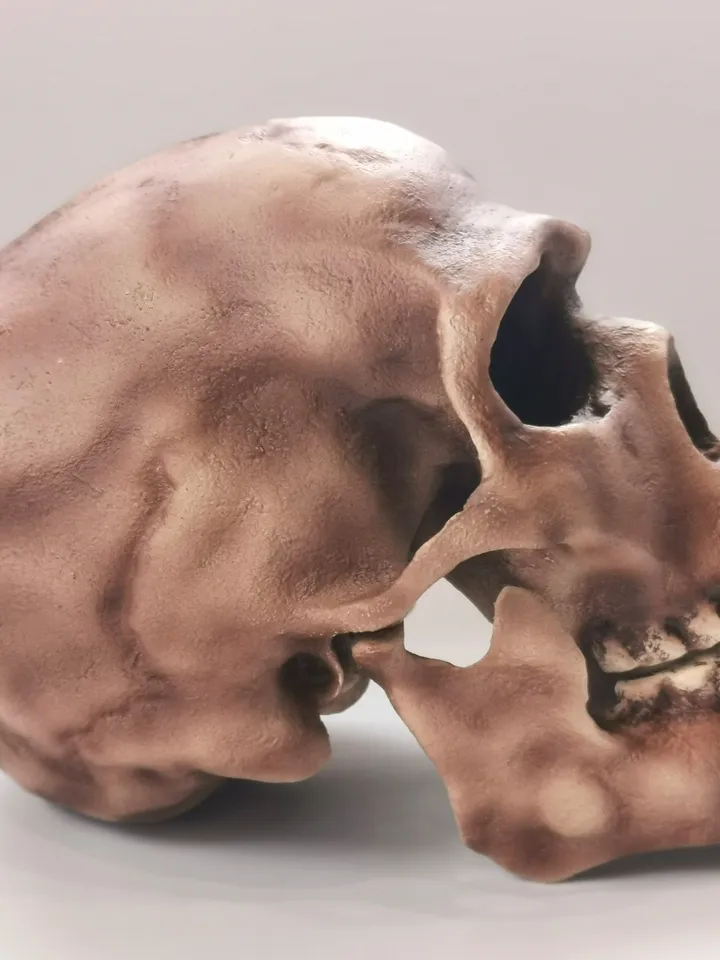 Homo Sapiens Skull Replica Skhul 5, Prehistoric Fossil Collection, Realistic Hominid Skull, Museum Quality