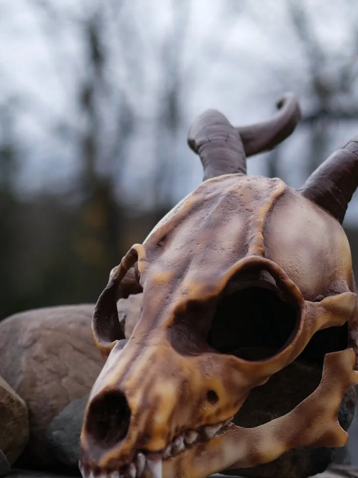 Fox Skull head mask with horn, Antler Mask, Realistic Skull Mask, skull costume mask, Horror Mask, halloween scary mask, creepy mask