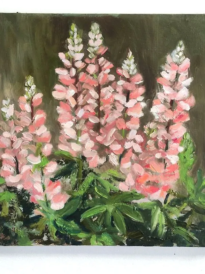 Pink Lupin Painting Floral Original Art Lupin Oil Artwork Flower Wall Art