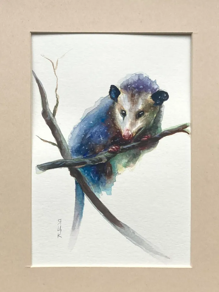 Opossum Painting Original Watercolor Painting Gift Small Animal Art Opossum Illustration Witchy Animals