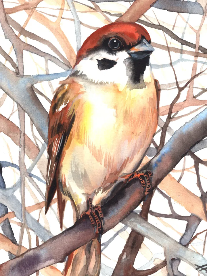 Sparrow Bird Watercolour, bird painting, room decor, wall decor, birds lover gift, 8x11 in handmade art by Anne Gorywine