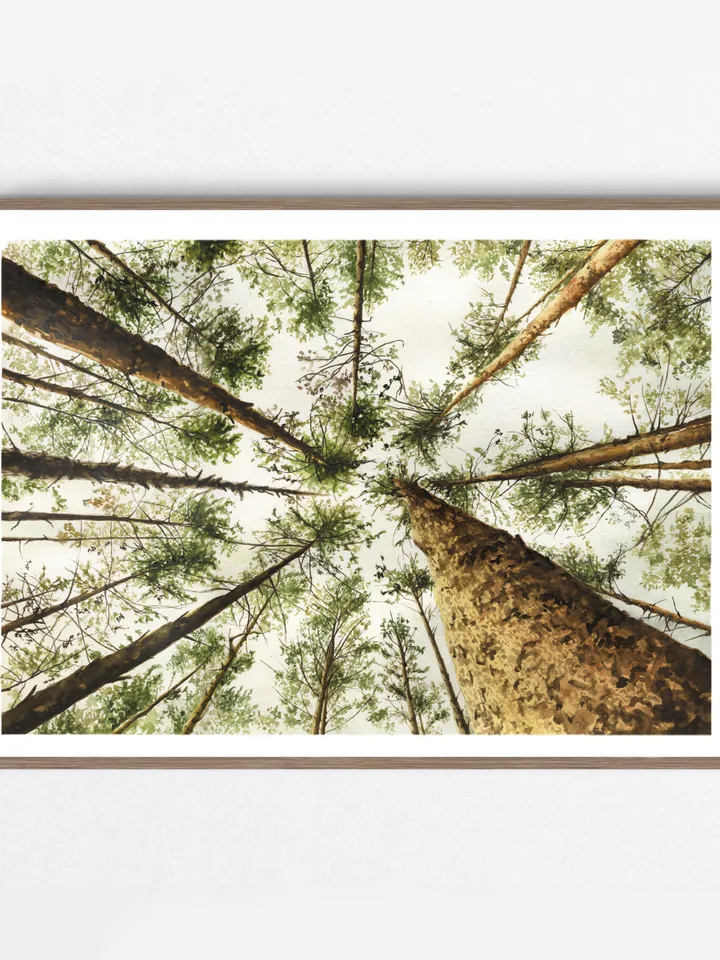 Watercolor print "PINE TREES"