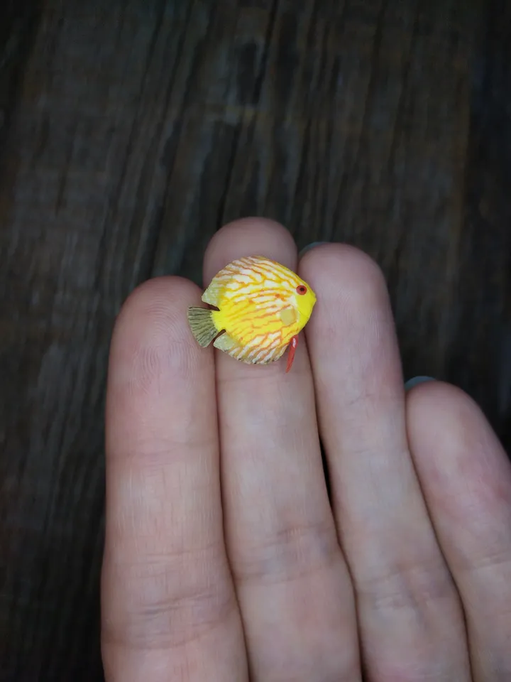 Miniature clay Discus fish 8 pcs, tiny fish for diorama, dollhouse or resin art