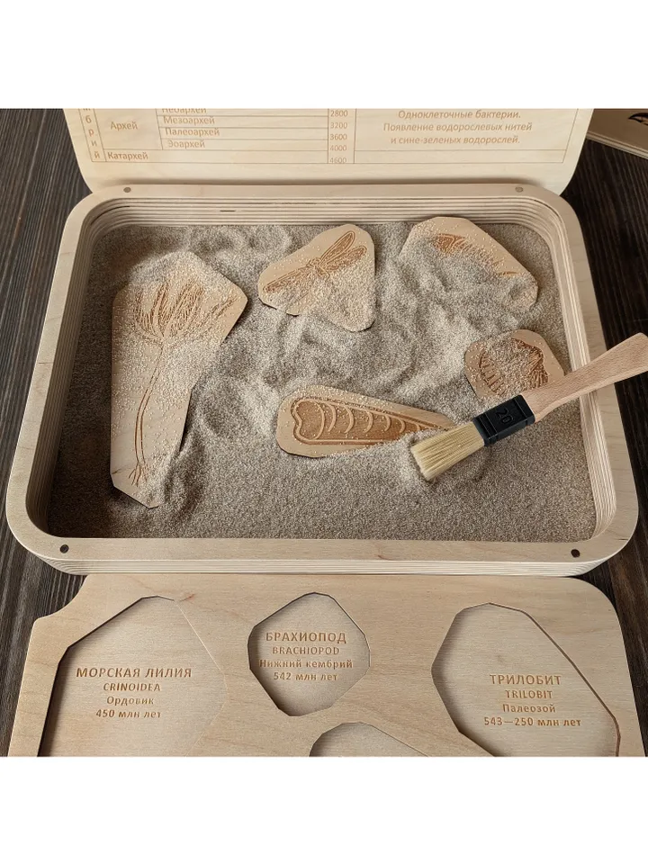 Wooden paleontologist set Wooden Puzzle Dinosaur Skeletons Montessori puzzle science play Wooden game