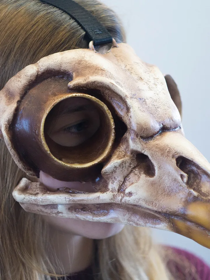 Bird Skull Mask, Owl Skull, Viking skull Mask, bird mask, plague doctor mask, steampunk bird mask, bird beak mask, Voodoo Mask, Raven Mask