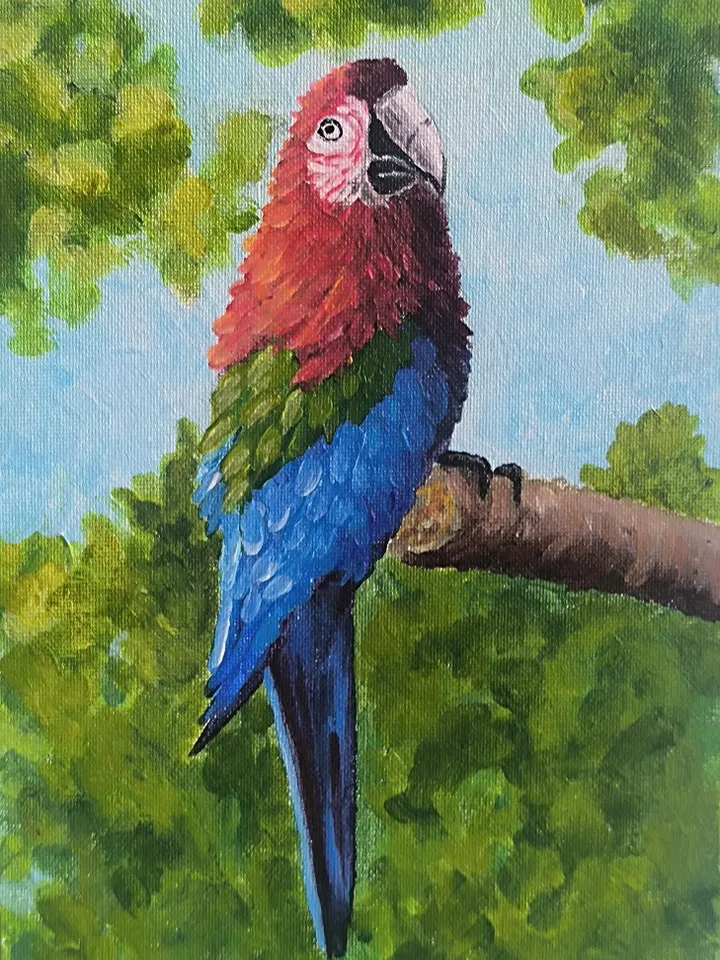 Set of three bird paintings. Toucan painting, Blue sialia painting, Parrot painting, Acrylic painting, Bright birds.