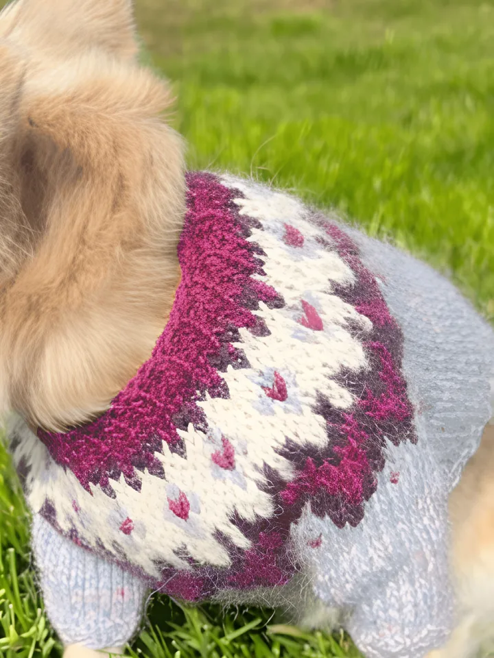 Dog Sweater