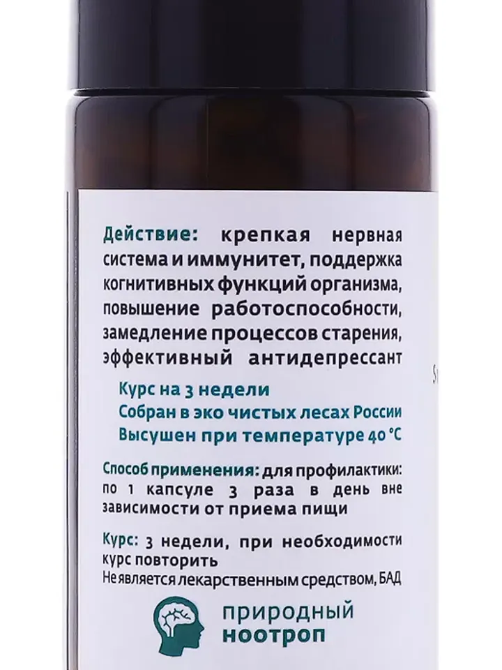 Natural nootropic gib Jezhovik Gebenchatny Russian Roots 60 pcs