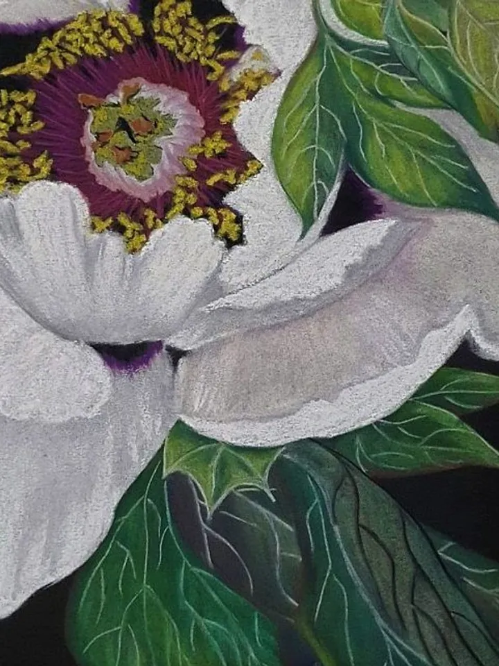 White Peony Painting Flower Original Art Floral Wall Art Soft Pastel Painting