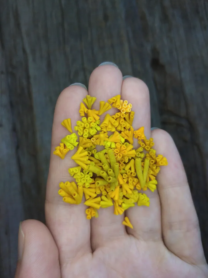 Set of miniature corals shades of yellow, tiny corals for diorama, dollhouse or resin art