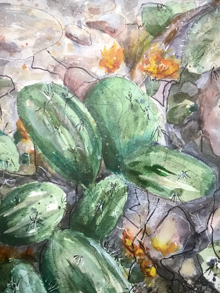 Cactus flower,original watercolour mix media painting on watercolour paper,original and prints available.