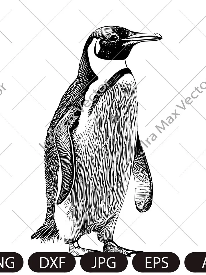 Penguin Svg, King Penguin SVG, Sea Animal SVG, Penguin Silhouette, Penguin Clipart, Penguin SIlhouette, Penguin detailed