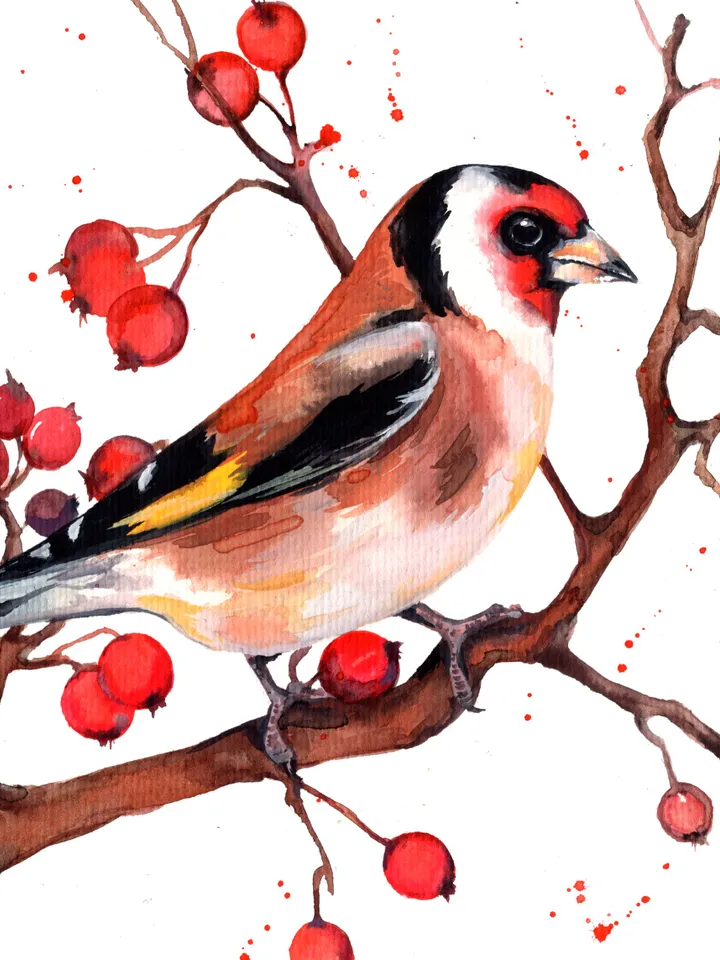 Bullfinches on a branch original watercolor, birds painting, wall decor, 7x10 in art for bird lovers by Anne Gorywine