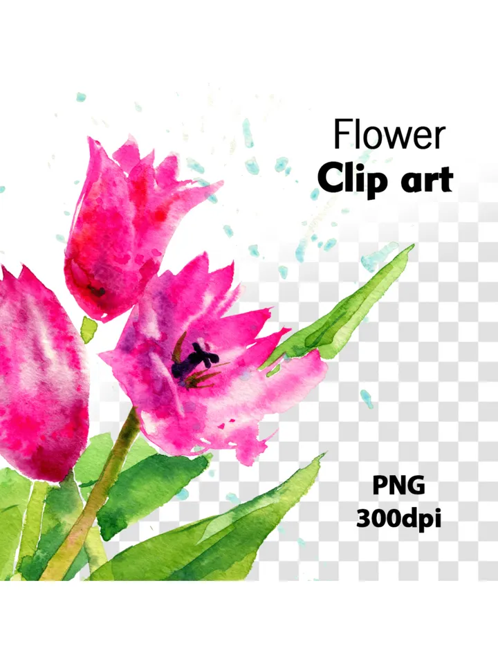 Watercolor picture with tulips, Art print from the original painting, Watercolor digital file, Clipart PNG with tulips