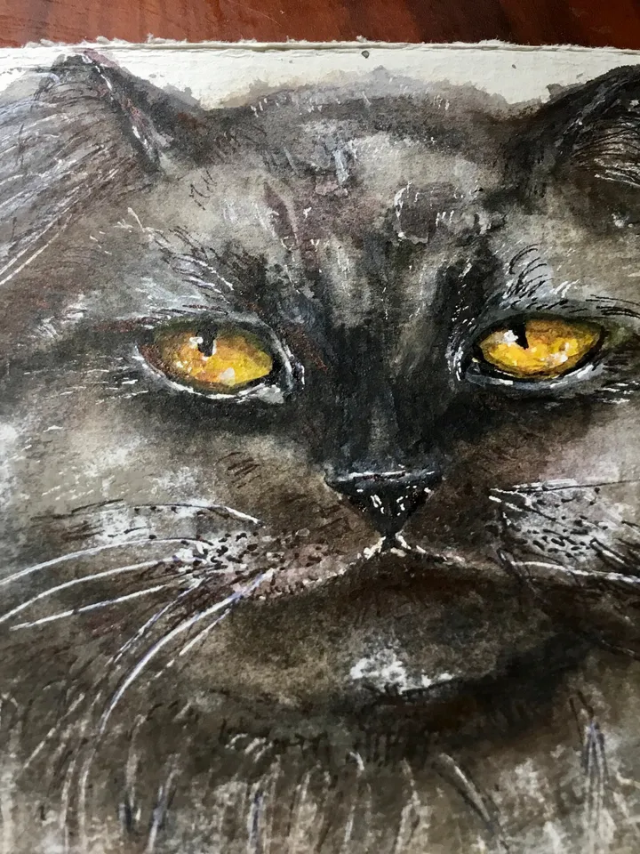 Black Persian cat painting,original watercolor painting,cat original painting,animals wall art,cat lovers gift,home decor wall art.
