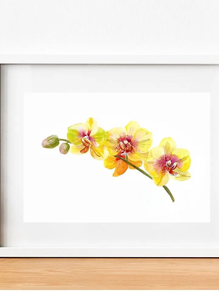 Watercolor Orchid Art Flower Line Art  Wild Flowers Botanical Printable Wall Art Flower Print Minimal Botanical Poster Giclee Botanical Art