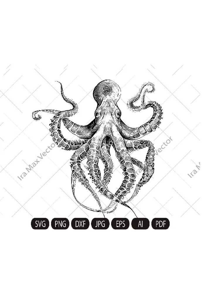 Octopus SVG, kragen svg, Octopus printable, Octopus detailed, Octopus clipart