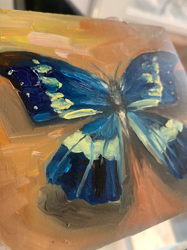 Butterfly