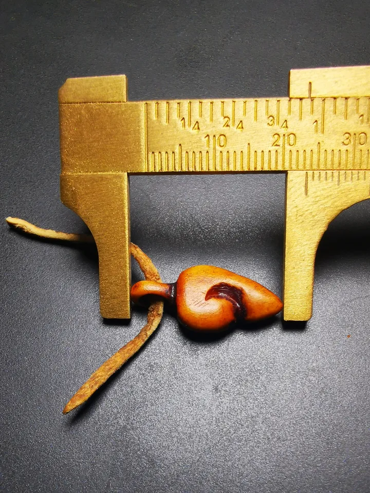 Gandhanra Tibetan Shankha Amulet,Yak Bone Carved Conch Bead Counter Clip Pendant for Mala, Prayer Bead Accessories