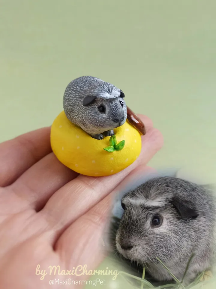 Guinea pig portrait from photo