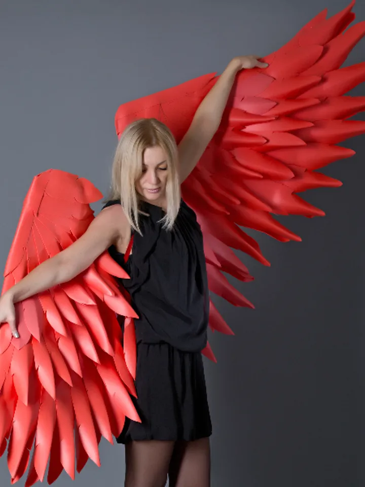 Red wings, Christmas Angel wings, Red wings cosplay, girl in red, Valentines day wings, red wings birthday gift