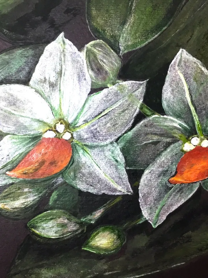 Orchids painting,White orchid flowers on black background, home decoration,original watercolour painting,framed.