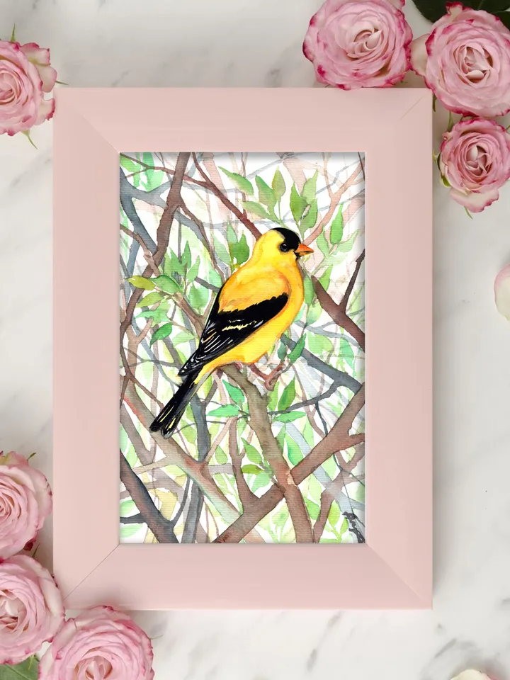 Goldfinch original watercolor, birds painting, wall decor, 7x10 in art for bird lovers by Anne Gorywine