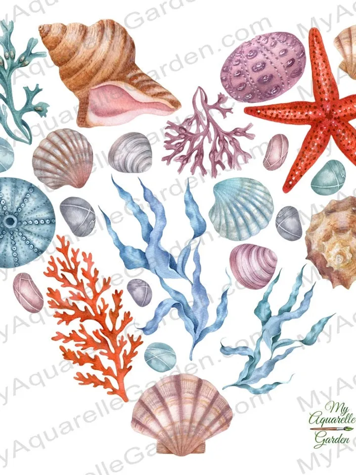 Seashells heart Ocean creatures Under the sea Corals starfishesl seagrass Watercolor hand-painted images Nursery wedding decor Printable PNG
