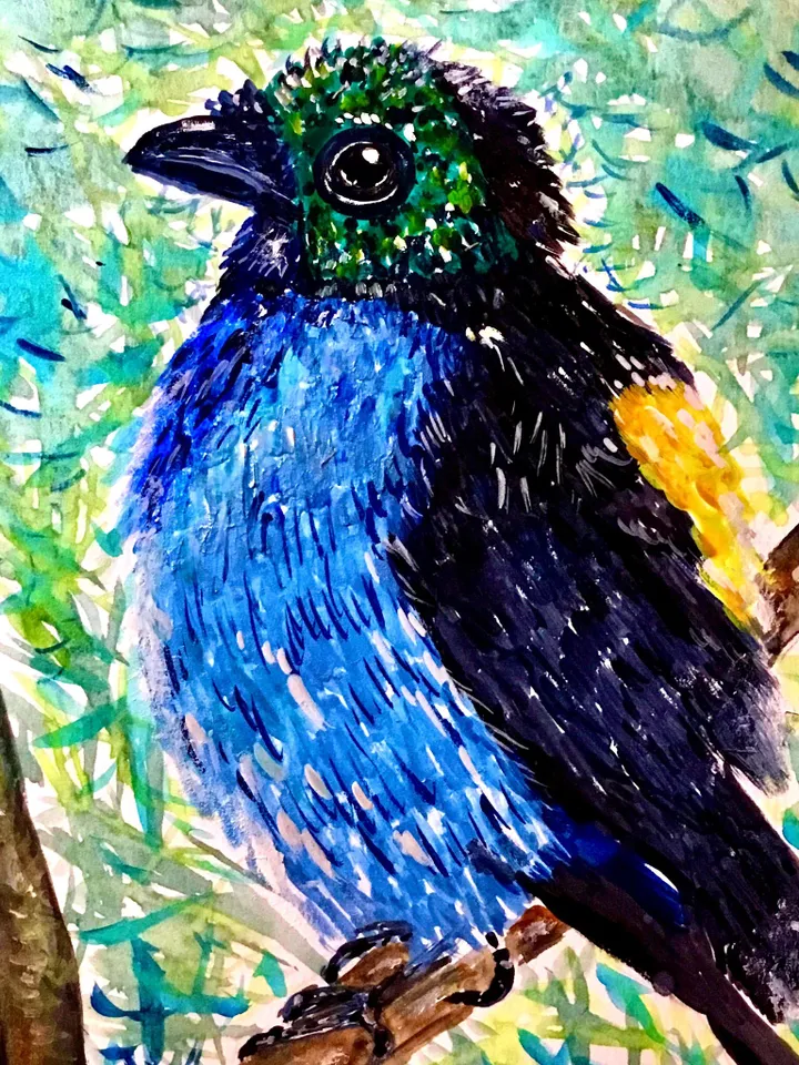 Paradise tanagra bird original watercolour painting.Bright exotic bird.