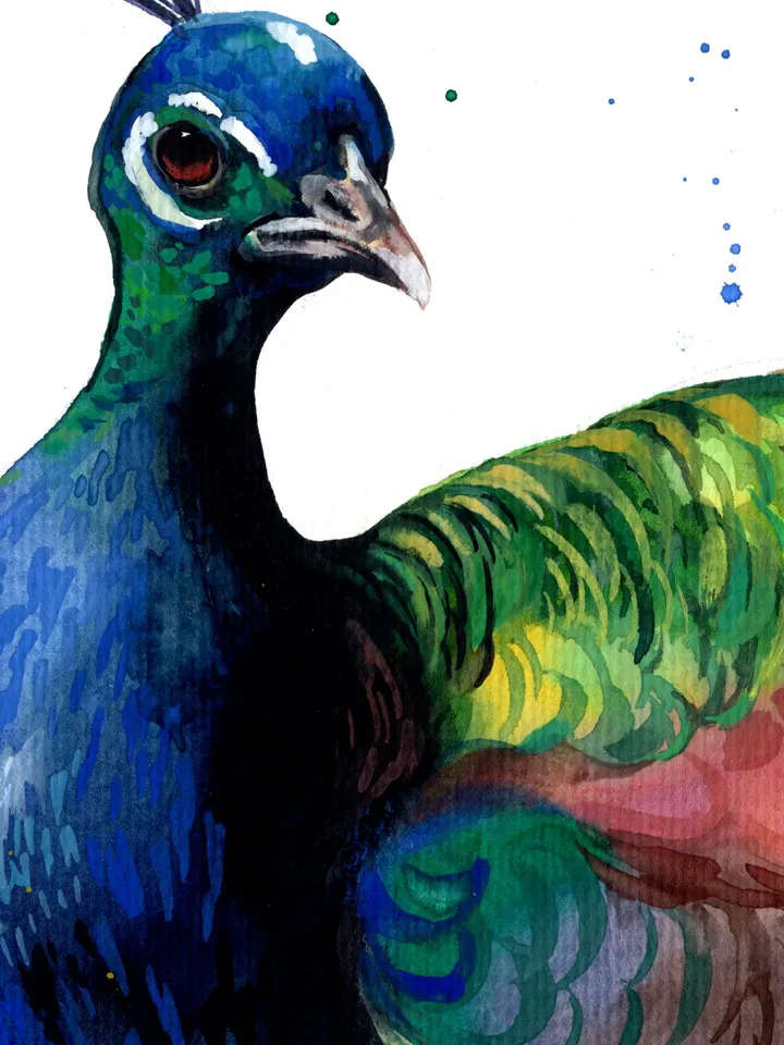 Peacock original watercolor, birds painting, wall decor, 7x10 in art for bird lovers by Anne Gorywine