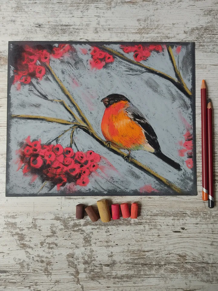 Bullfinch and Mountain Ash. Original soft pastel drawing.