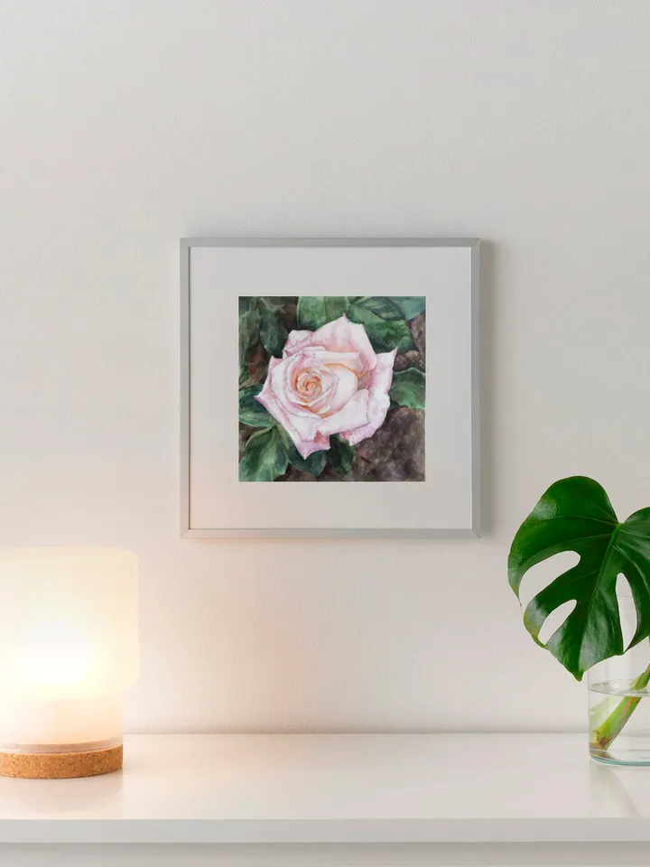"Violet Rose" Flower Original Wall Art Painting Watercolor Artwork, 17x17cm.