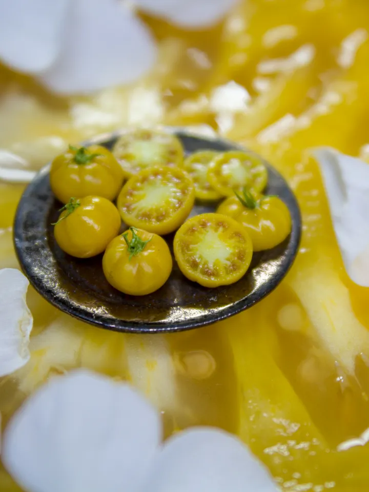 TUTORIAL Miniature big yellow tomato cane with polymer clay