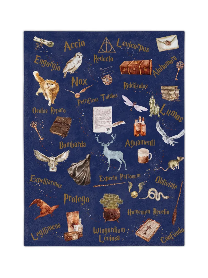 Wizarding World Baby Blanket; Magic School Baby Fleece Blanket Owl Key Magic World Custom Wizard Blanket Gift for Baby Minky Blanket WBB12