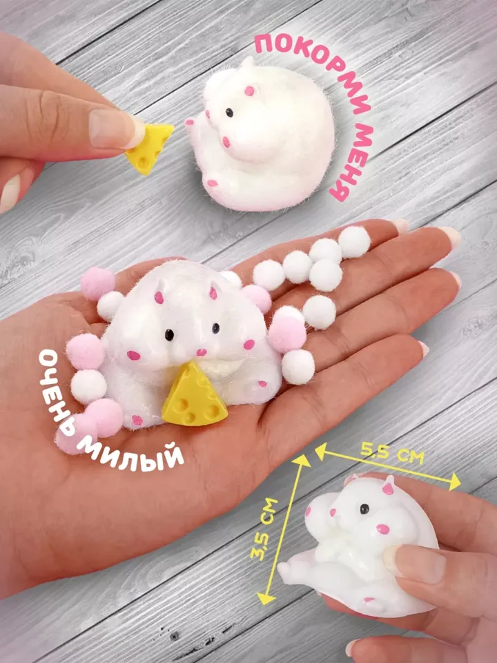 hamster cute antistress