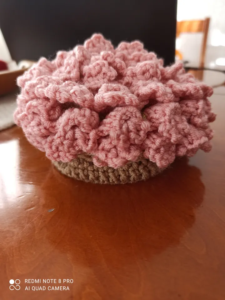 Crochet coasters with tulips