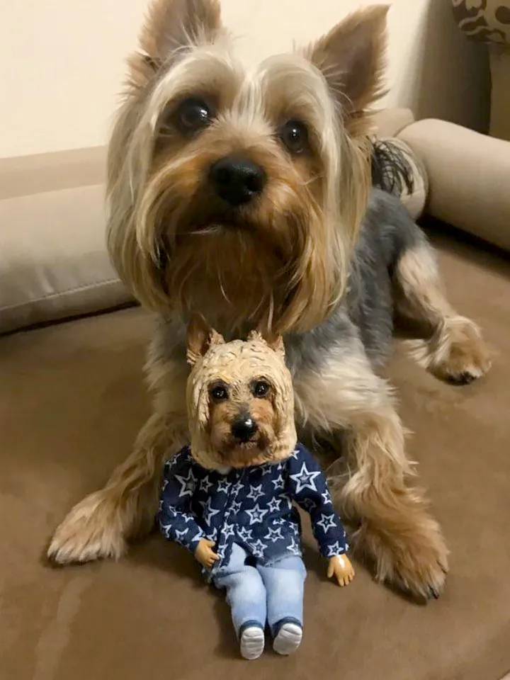Customized Pet Doll Dog Cat & etc. (any pets)
