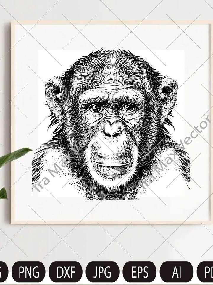 MONKEY Face svg / Monkey Head svg / Monkey svg / Monkey King svg / Monkey Mascot svg /Monkey detailed/ Monkey Printable / INSTANT DOWNLOAD