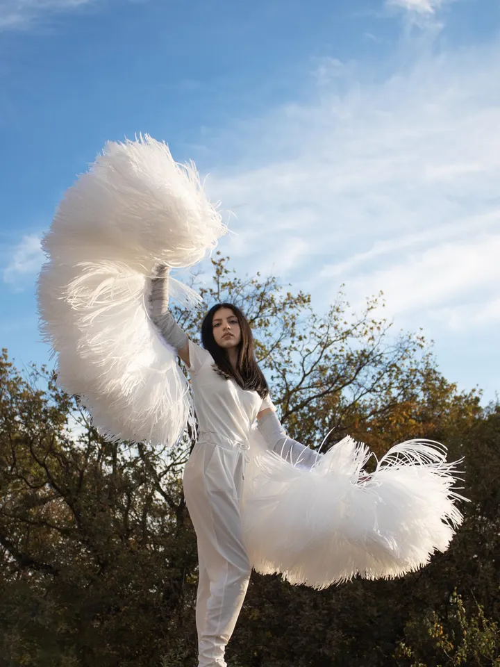 sleeve wings, arm wings, angel wings, white angel wings, wings, white wings, christmas wings