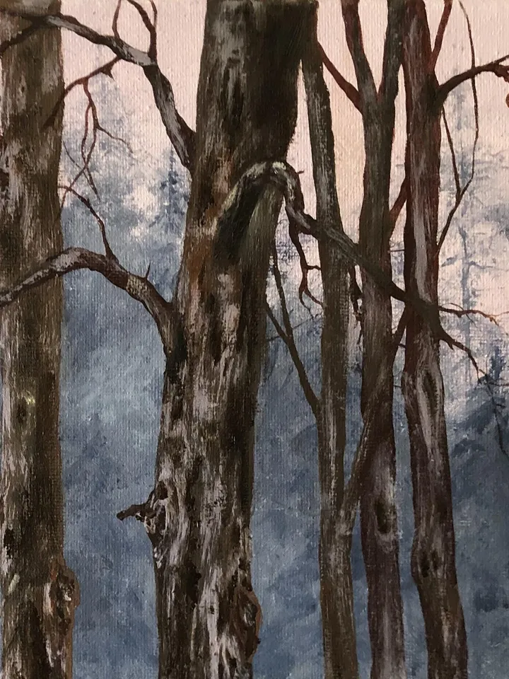Forest Oil Painting Trees Original Oil Wall Art