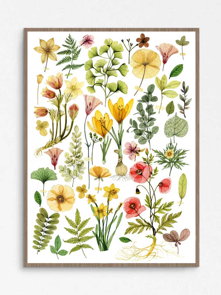 TRANSPARENT FLOWERS, Digital watercolor print