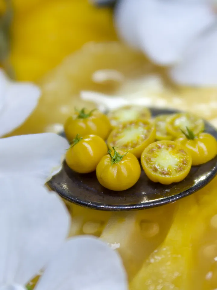 TUTORIAL Miniature big yellow tomato cane with polymer clay