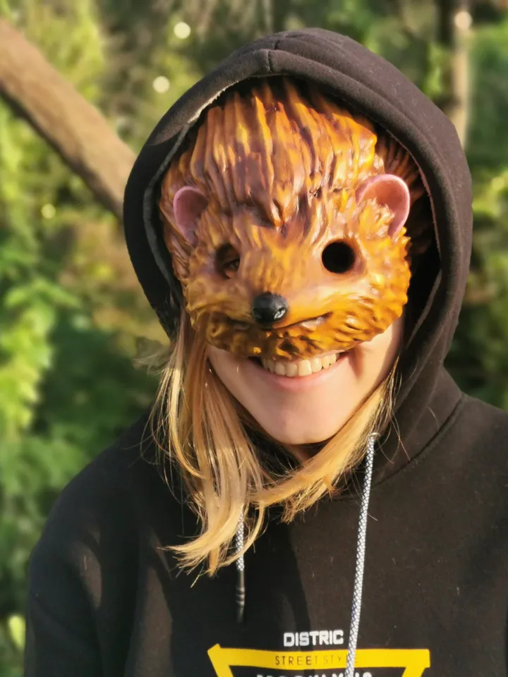 Hedgehog Mask Full Fase, Muzzle Mask, Realistic Animal Mask for Halloween or Cosplay, Kids Mask