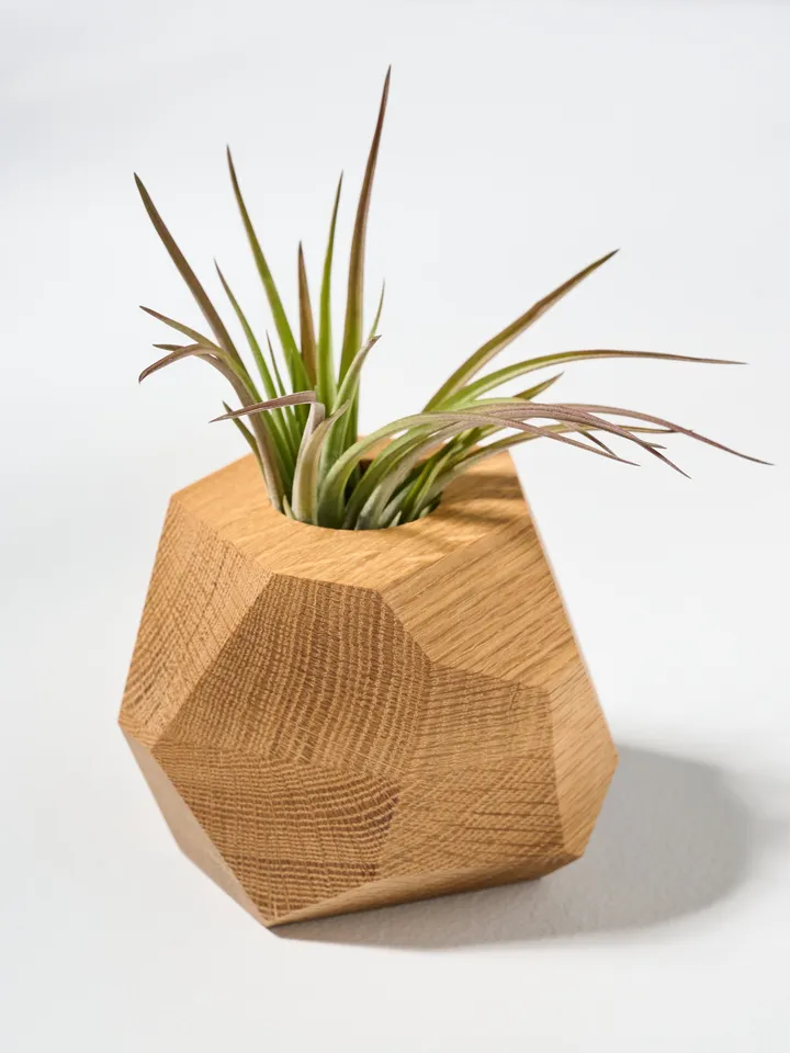 Set of 4 White Oak Geometric Air Plant Holder