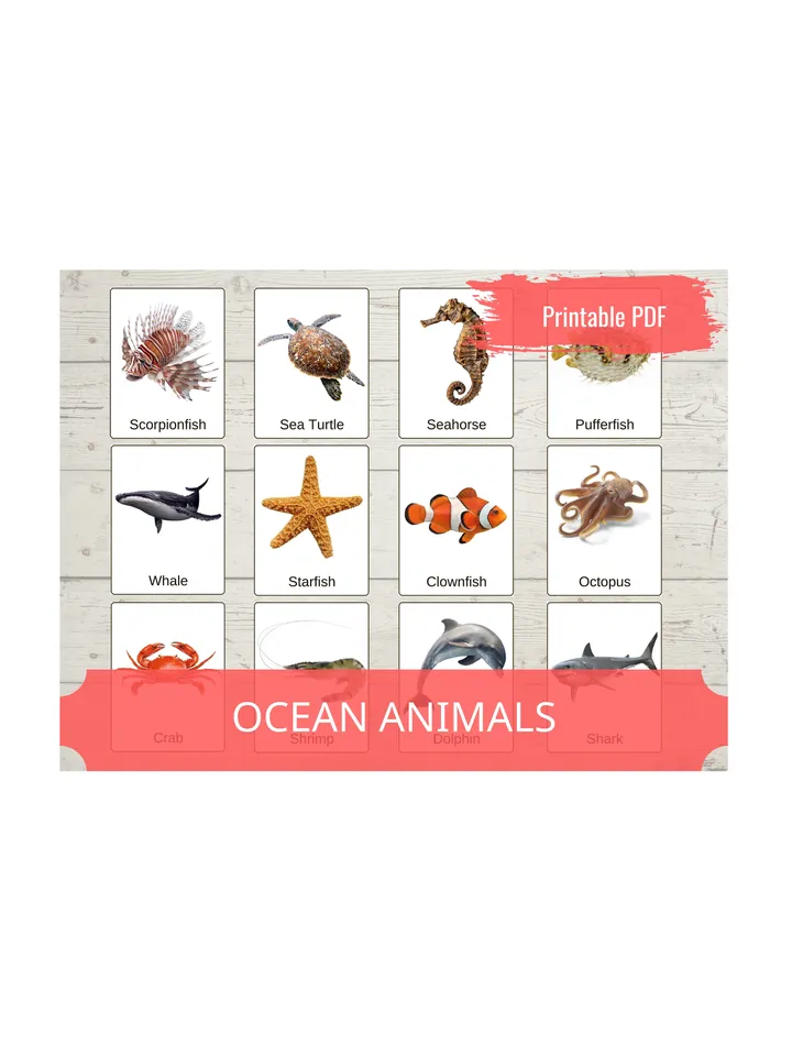 Montessori Printable Cards - OCEAN ANIMALS, Educational Material PDF