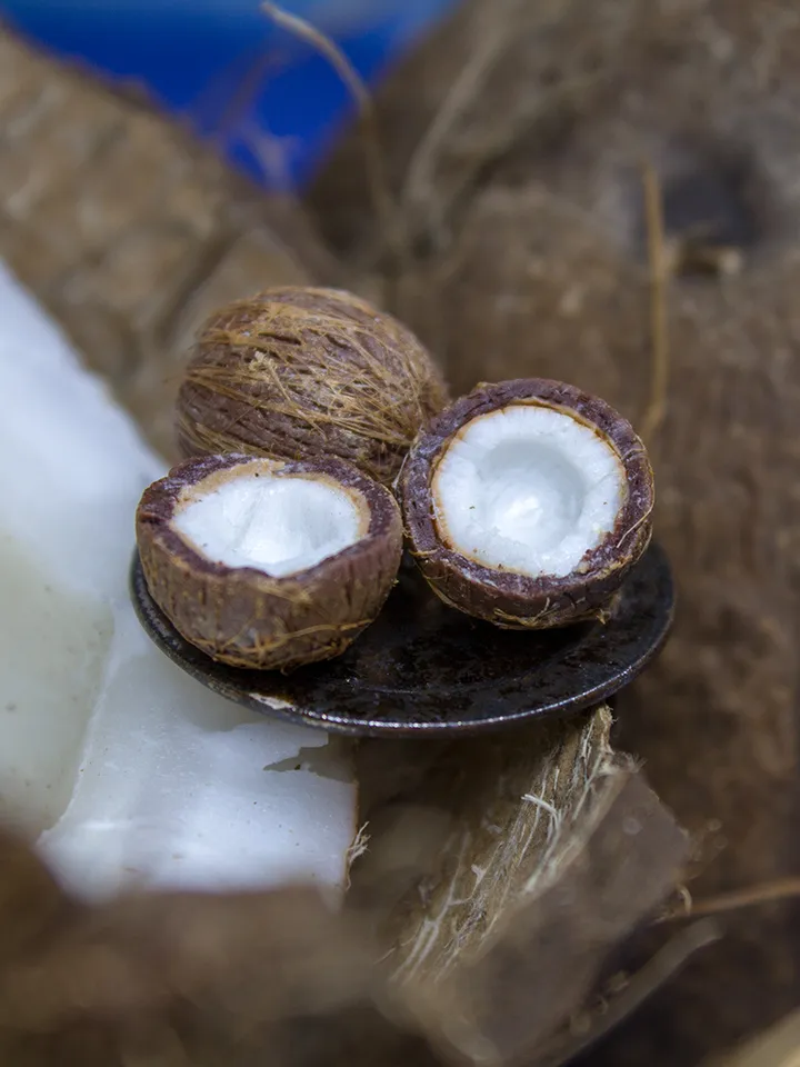 TUTORIAL Miniature coconut with polymer clay
