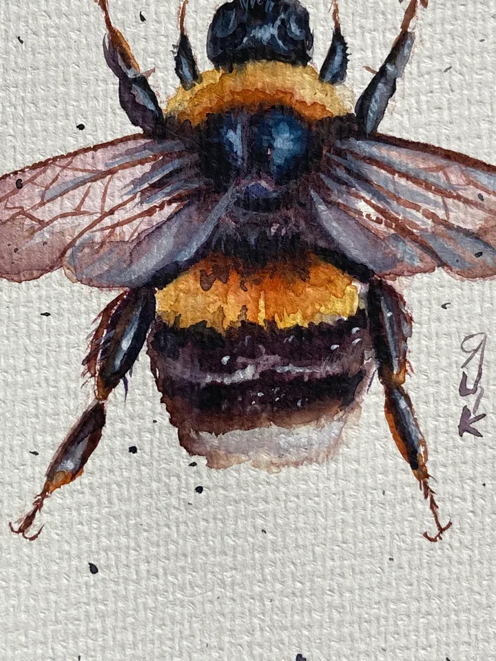Bee Painting Original Watercolor Painting Gift Small Insect Art Bumblebee Illustration 4x6