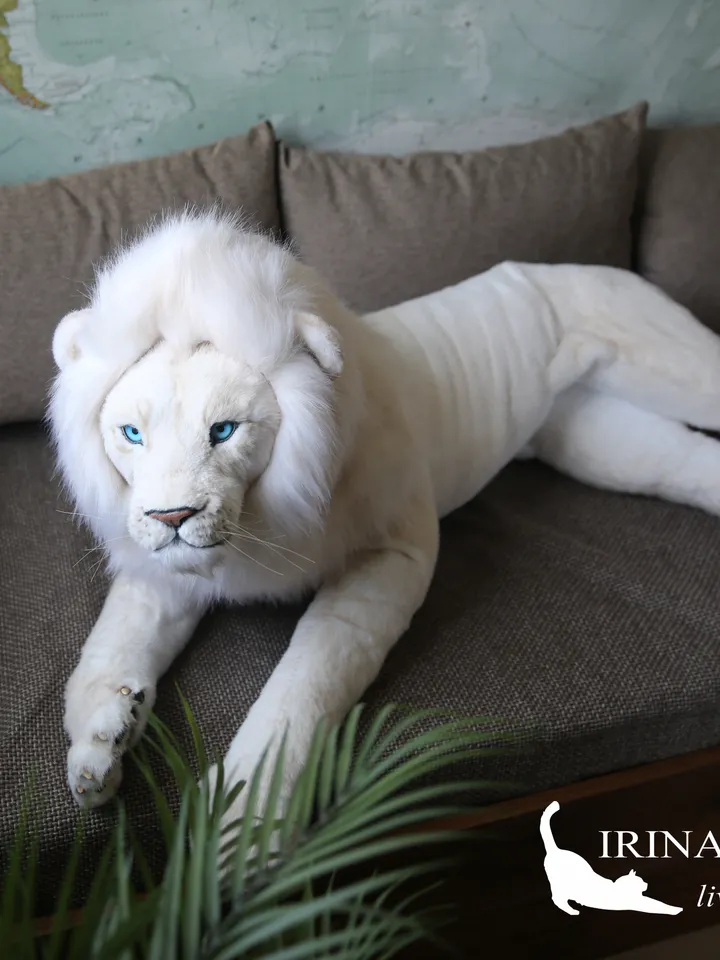 White lion