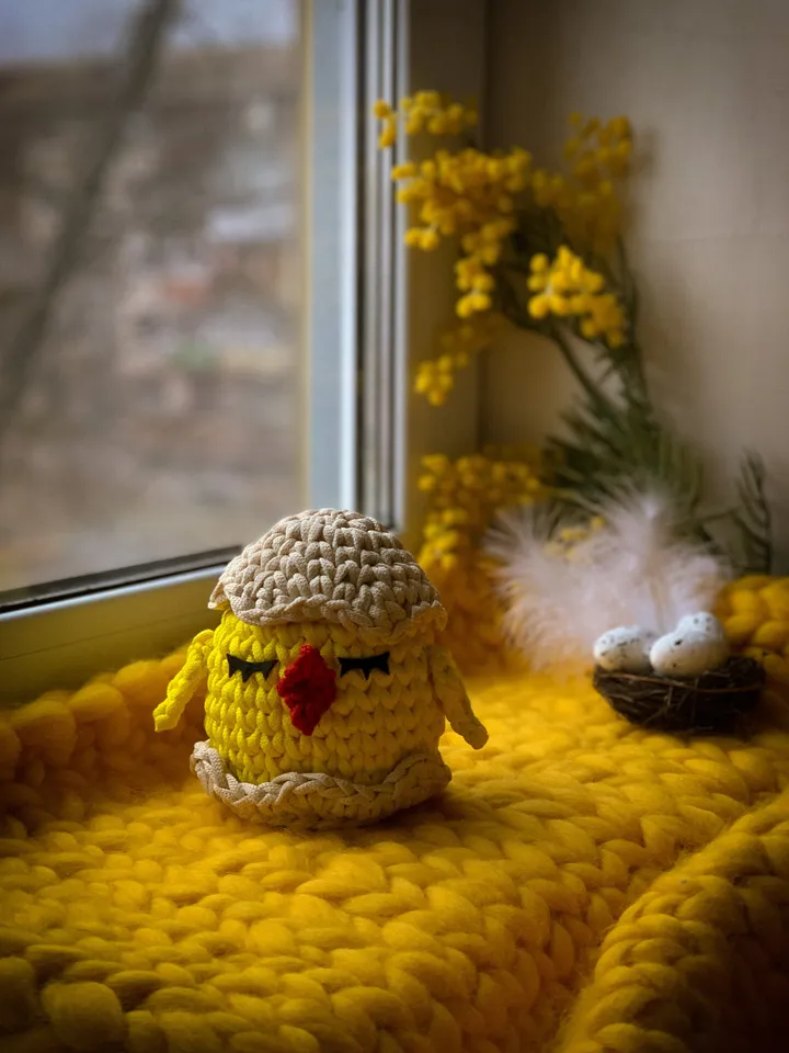 Basket chicken egg Easter, crochet interior gift, bedroom livingroom storage, table decor, eco friendly