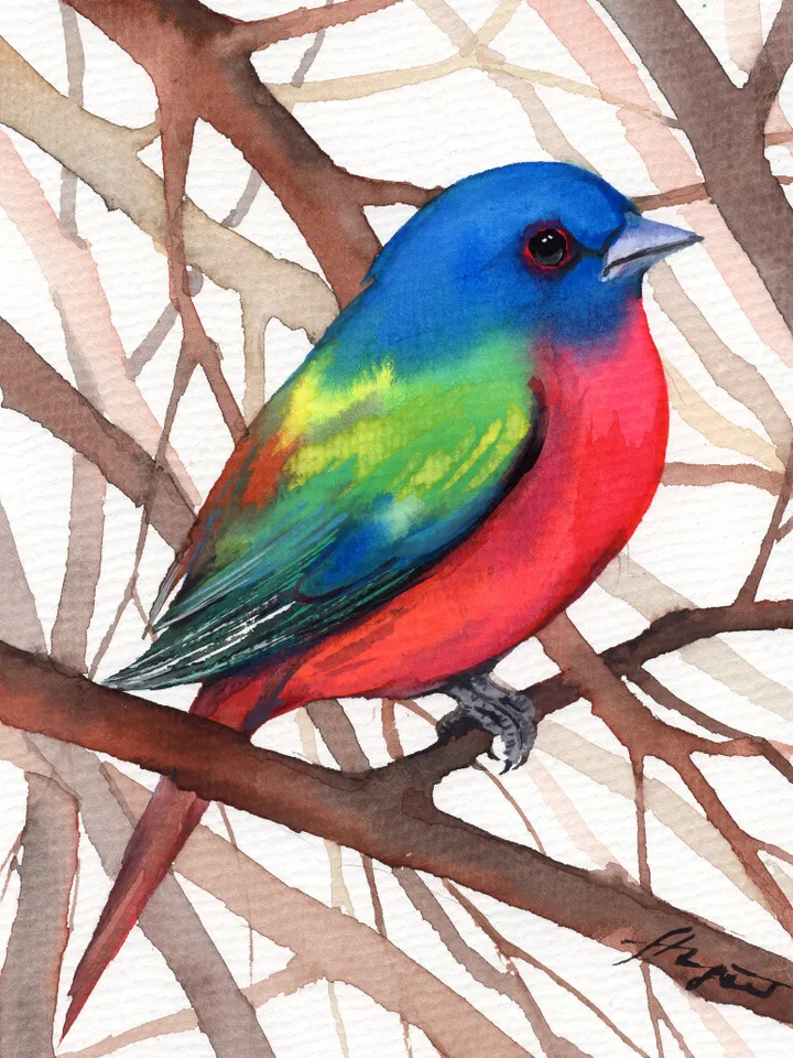 The painted oatmeal cardinal original watercolor, birds painting, handmade wall decor, 5x7 in art for bird lovers by Anne Gorywine